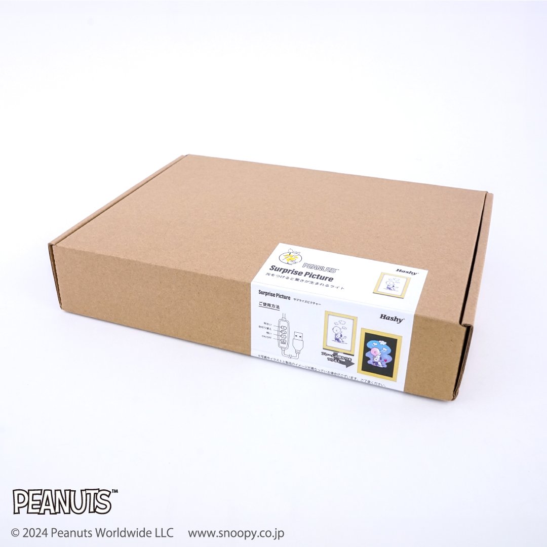 snoopy/peanuts 75週年紀念 驚喜畫框(週年限定款) snoopy/peanuts 75週年紀念 驚喜畫框(週年限定款)